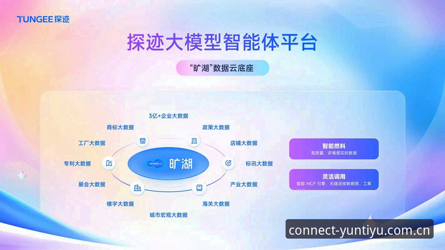深度揭秘云体育平台v3.0.1：数字体育体验背后的创新真相