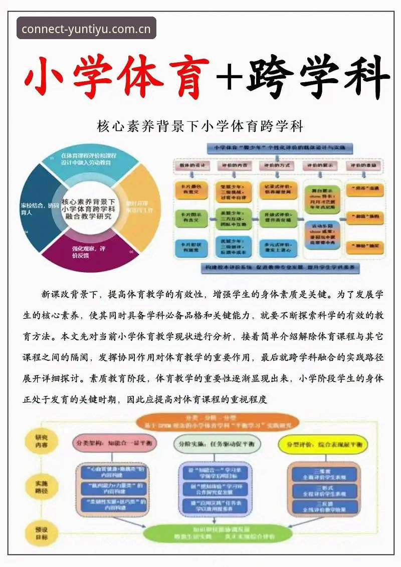 云体育平台实用指南：从入门到深度体验的必备知识